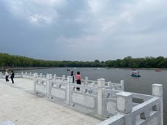 -北陵公园