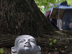 -龙华寺
