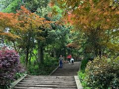 -青城山
