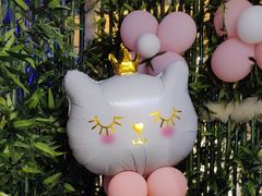 -十二月·宁夏盐池滩羊肉火锅