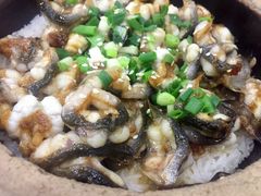 -红星光发煲仔饭(大石街店)