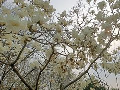 -丰台花园