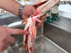 -煲来饱去冷水鱼