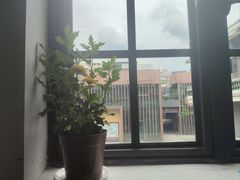 -得心斋(国瑞升平里店)