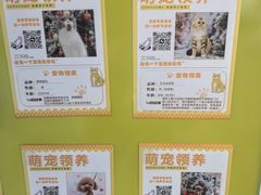 -瑞虹新天地月亮湾