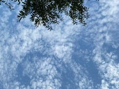 -兔途体检(十里堡青年路店)