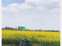 -中国天府农业博览园