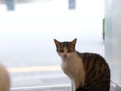 -MQ COFFEE STAND明谦(新洲店)