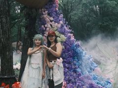 -洛阳白云山景区