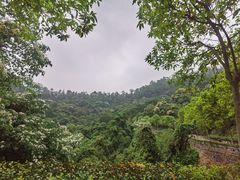 -火炉山森林公园