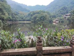 -青城山