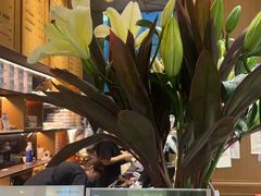 -THE WOODS 简餐 (国贸商城店)