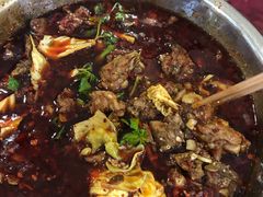 红烧兔-温江公平红烧兔(总店)