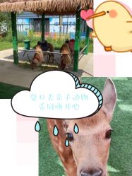 -萌宠亲子动物乐园(槐房万达店)