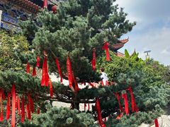 -开福禅寺