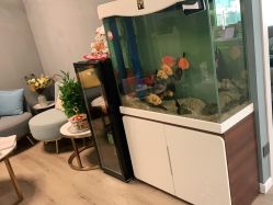 -妙睫屋日式美甲美睫