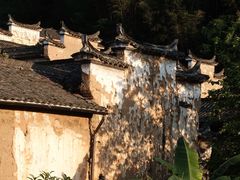 -杨家堂村