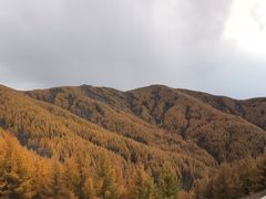 -苏木山森林公园
