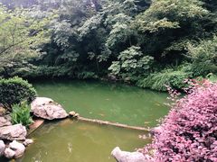 -杭州西湖风景名胜区-三生石
