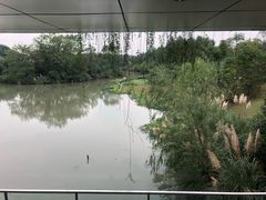 -中国湿地博物馆