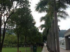 -厦门国家会计学院