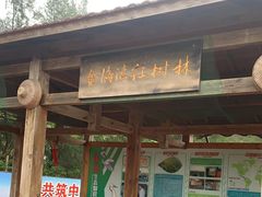 -北海金海湾红树林生态旅游区