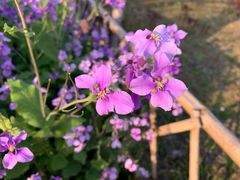 -白塘生态植物园