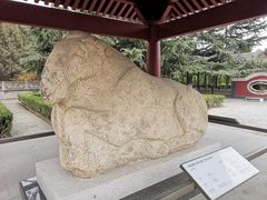 -茂陵博物馆