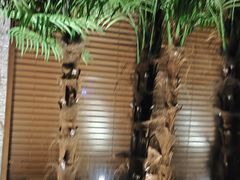 -良子健身·竹Spa(五四广场店)
