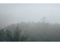 -陶祖圣境风景区