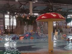 -南宫温泉水世界