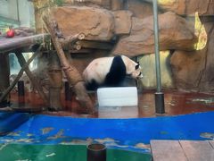 -成都动物园