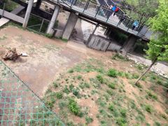 -石家庄市动物园