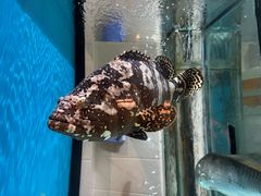-唐宫·粤菜海鲜(万象城店)
