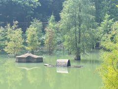 -广州市帽峰山景区