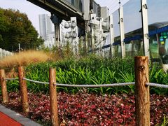 -北外滩滨江绿地