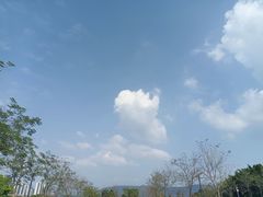 -光明小镇欢乐田园