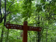 -朱雀国家森林公园