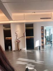 点击看大图 -C-18 SALON