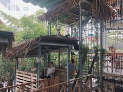 -Rainforest