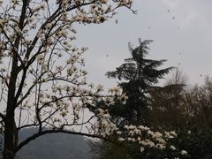 -中国茶叶博物馆(双峰馆区)