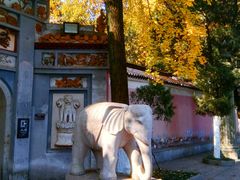 -岳麓山风景名胜区