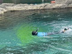 -新加坡水上探险乐园