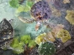 -福州罗源湾海洋世界旅游区