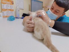 -瑞派宠物医院·24小时骨科·心脏·核磁(哈尔滨南岗店)