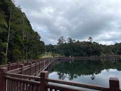 -海南热带雨林国家公园吊罗山景区