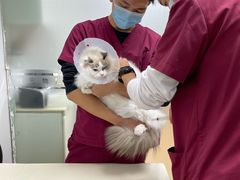 -宠颐生中康贝怡动物医院