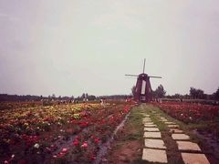 -北纬44度·金珠花海休闲农业旅游景区