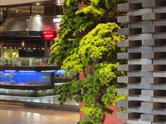 -阿伟海鲜楼·福建菜(延寿店)