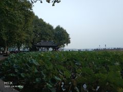 -杭州西湖风景名胜区-钱塘苏小小之墓